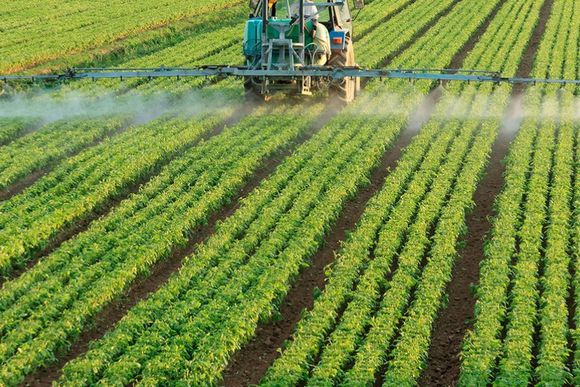Agroquímicos: Audiencia Pública por la "Ordenanza Viotti" que permitiría fumigar a 50 metros de la ciudad