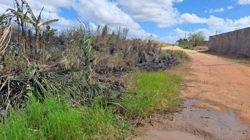 ¿CRIMEN PASIONAL? Femicidio en El Tigre: hallan cuerpo calcinado en un matorral