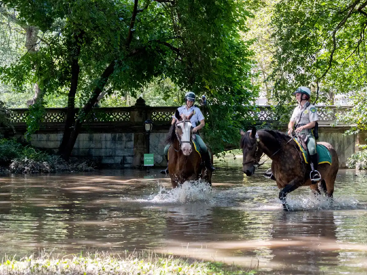 Al menos 44 muertos por las inundaciones en la ciudad estadounidense de Nueva York