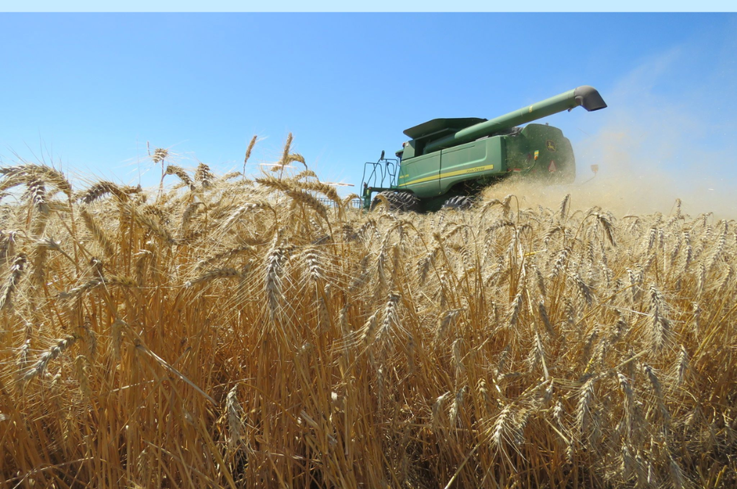 Estimaciones agrícolas