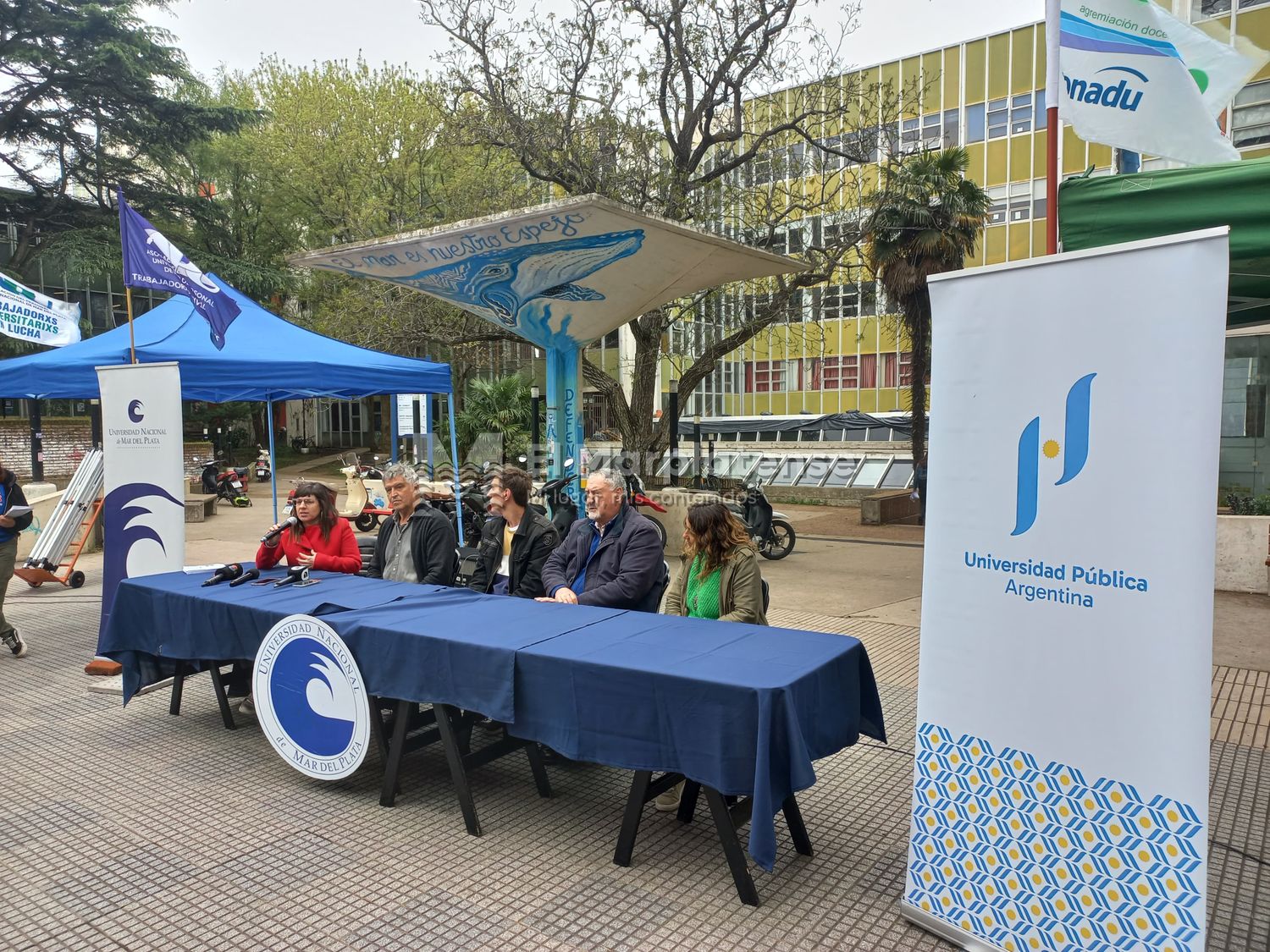 Las distintas instituciones que componen la UNMDP saldrán a recorrer las calles para visibilizar la problemática que comenzó en diciembre.