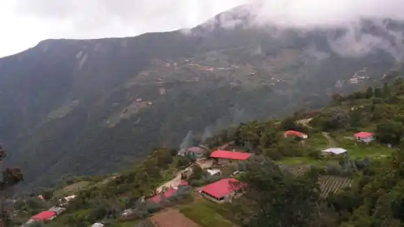 ¡SUCEDIÓ EN GALIPÁN! La increíble historia y trágico final de Angélica y su abuela desalmada