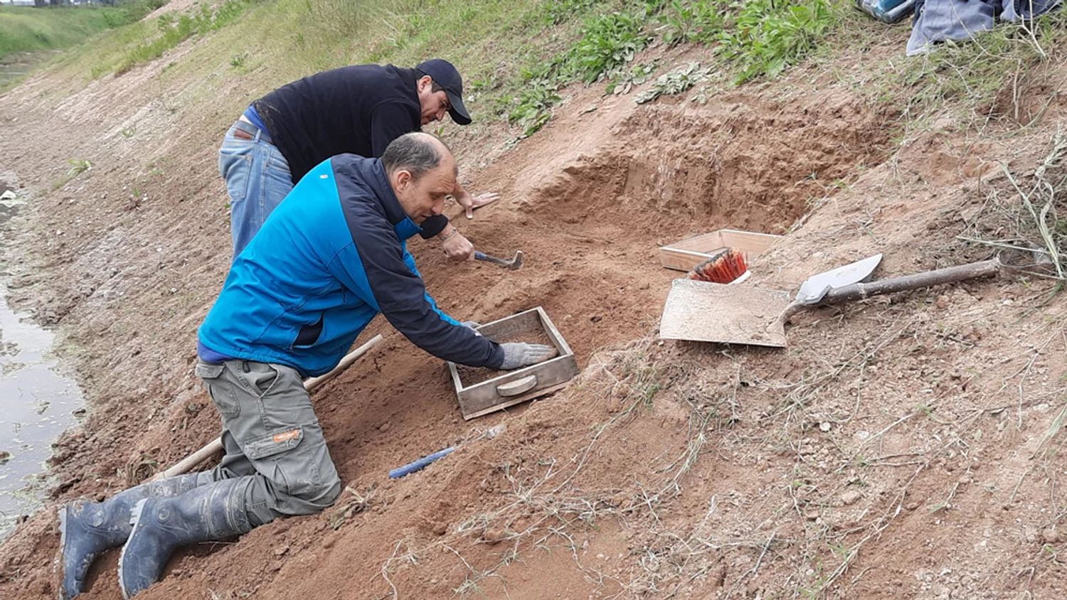 A 350 kilómetros de Tandil encontraron restos de un Gliptodonte con marcas de origen humano