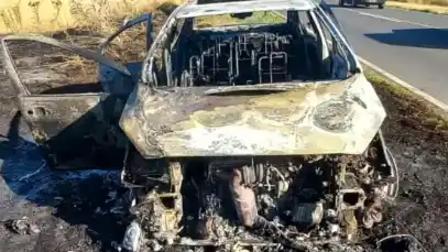 Incendio vehicular se propagó a un sector forestal en la Ruta 73