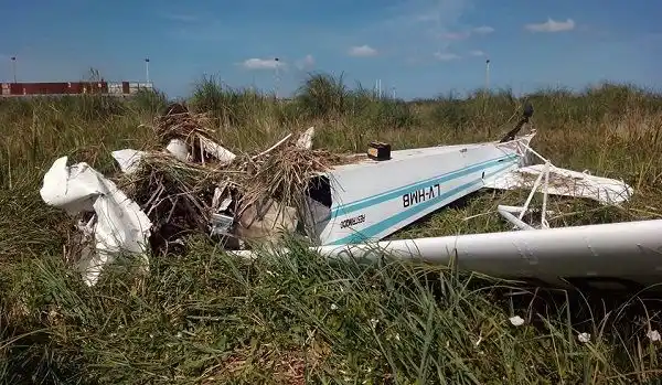 Video: Cayó avioneta con publicidad de Massa en Santa Teresita