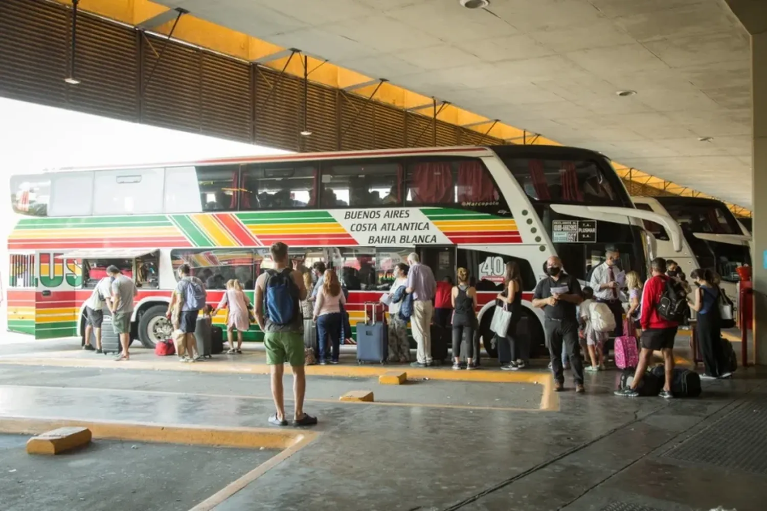 Sin regulación del transporte automotor de media y larga distancia, ¿qué se sabe?