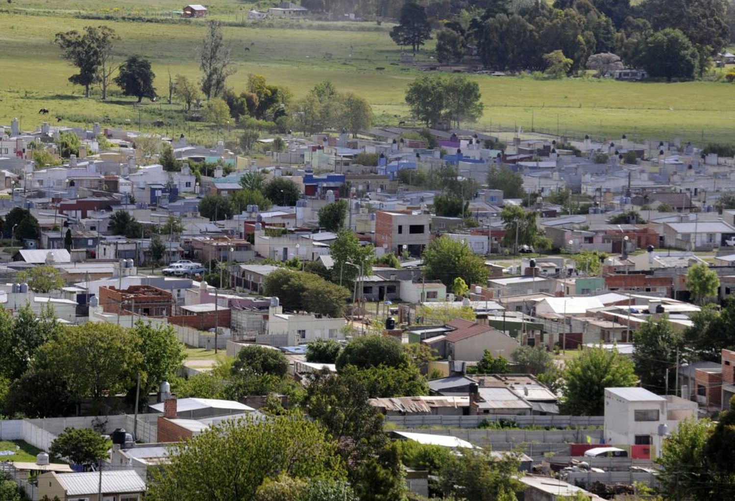 Robaron en una vivienda en La  Movediza y se llevaron hasta al perro