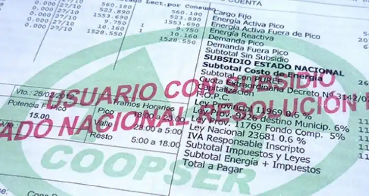 La suba de la luz “es por el consumo”