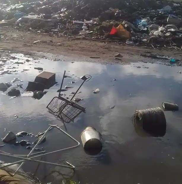 Agua  y basura en 91 y 82