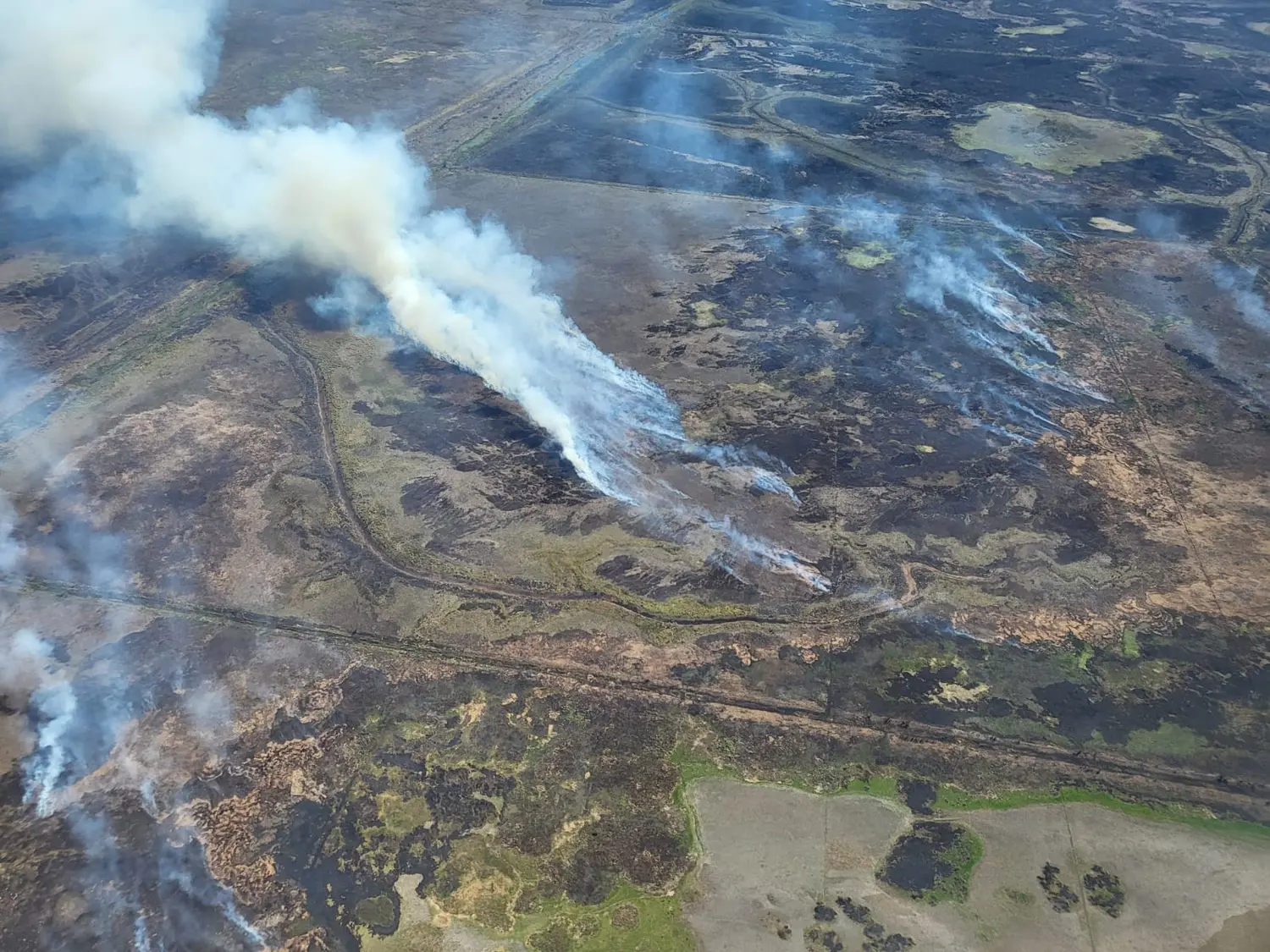 Día internacional del cambio climático: sequía e incendios en el delta, dos problemáticas relacionadas