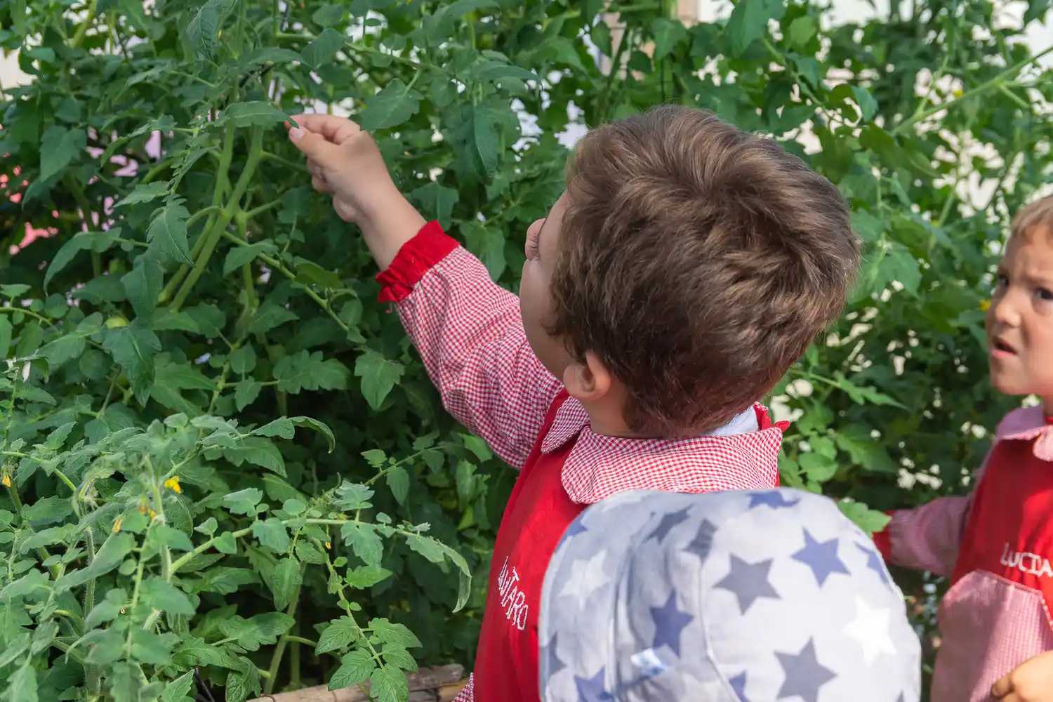 Continúan las visitas de los peques al Área Agroecológica inclusiva Municipal Aranguren