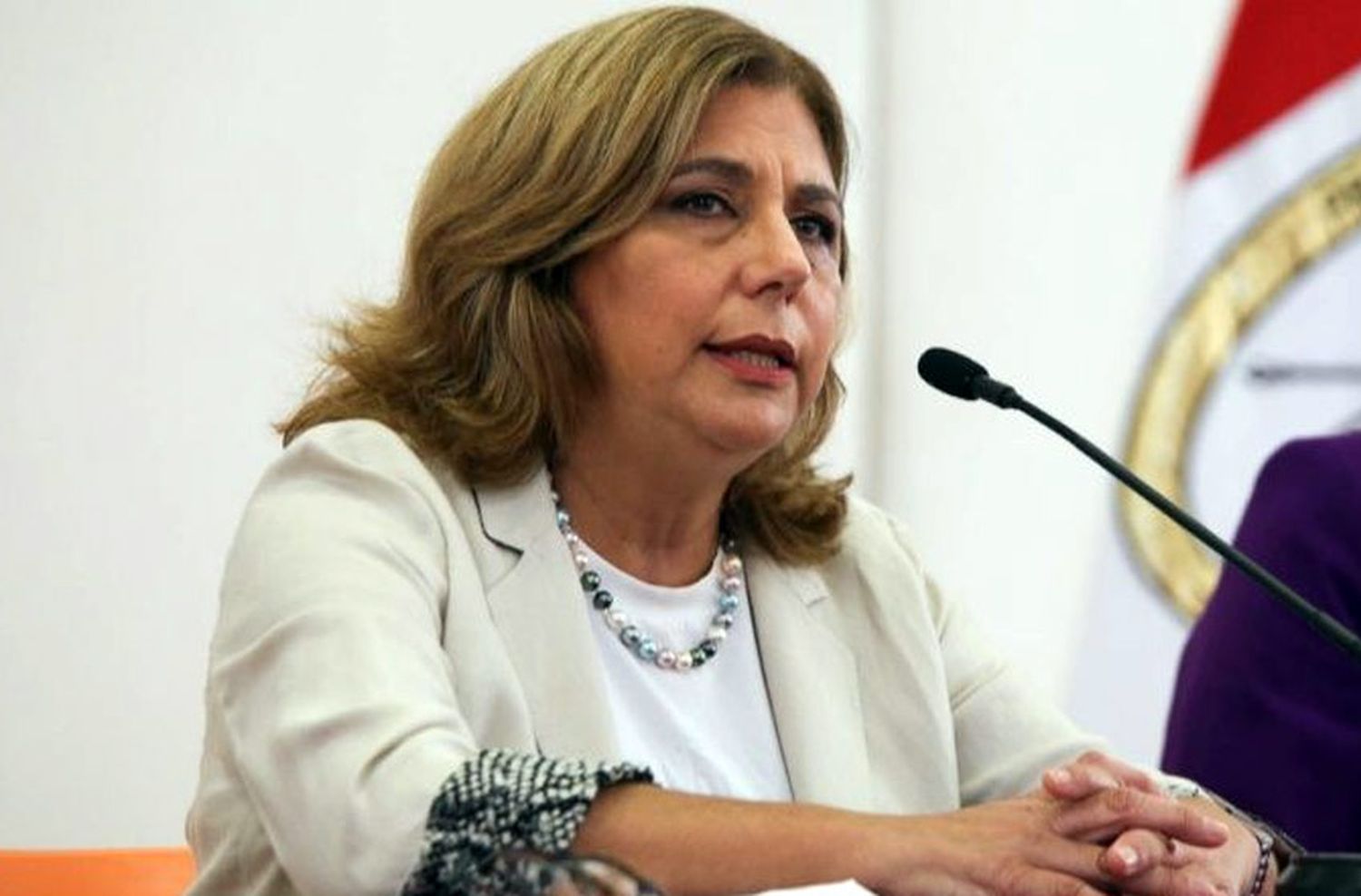 «Todo apunta a que vamos a tener un brote entre fines de mayo y principios de junio», afirmó la secretaria de Salud provincial