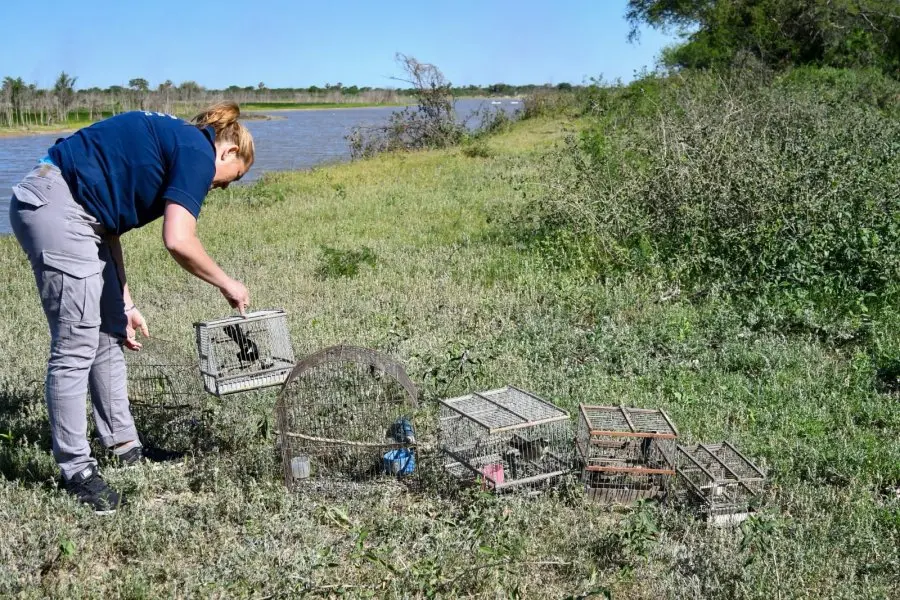 Control de Fauna: más de 300 aves liberadas