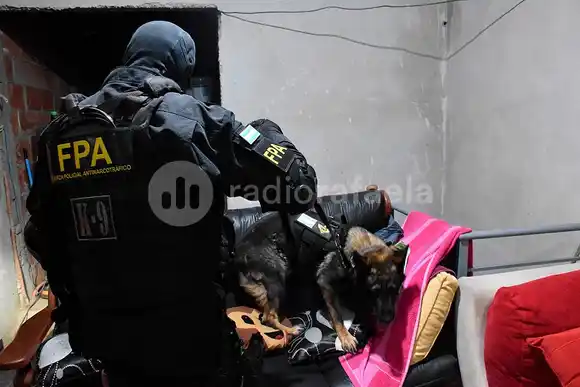 Cayó una megabanda narco extranjera en la provincia de Córdoba: secuestraron muchísima droga