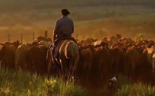 Trabajadores rurales cobrarán los $4.000 de aumento