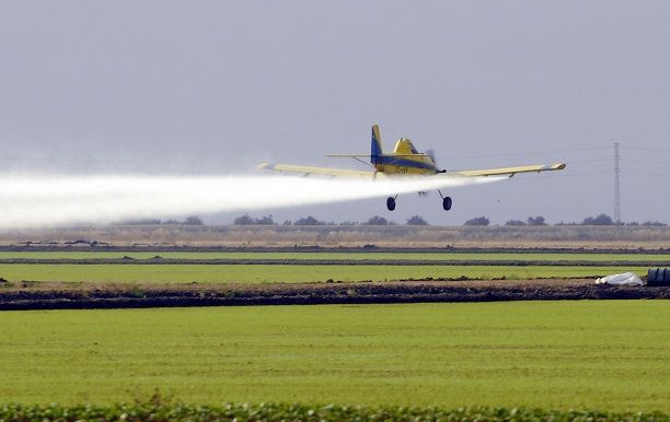 Los agroquímicos tienen efectos nocivos a corto y largo plazo