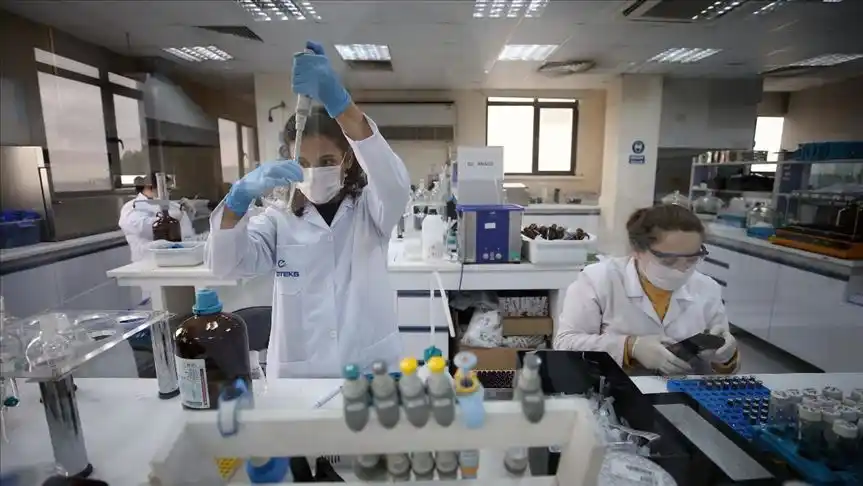 A CONFIRMAR SI FUE UN MURCIÉLAGO: Misión que investigará el origen del COVID-19 viajará a China en enero