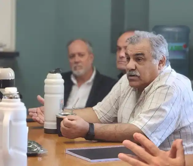 Marcelo Spinelli defiende la compra directa de energía a Salto Grande