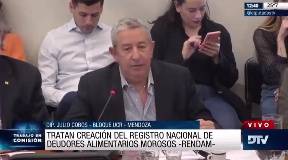 Avanza en Diputados un proyecto para crear un Registro Nacional de Deudores Alimentarios