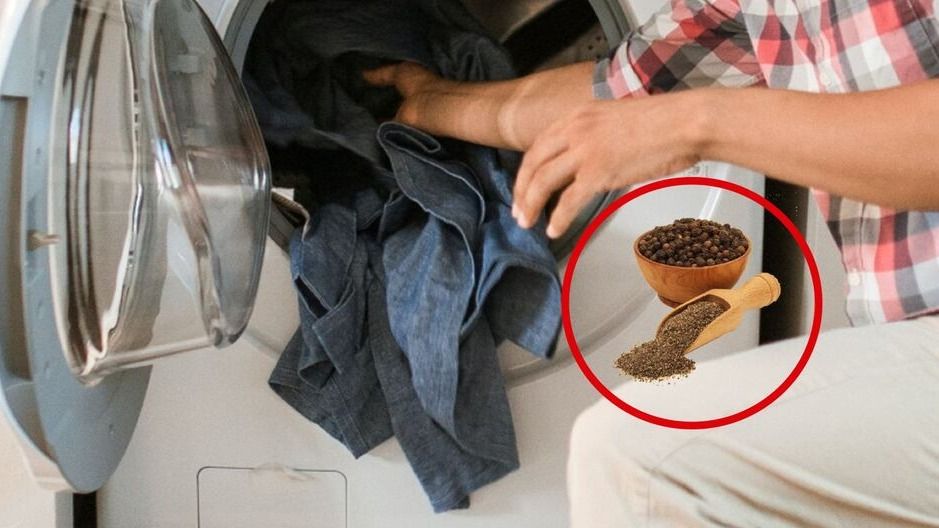 Truco casero: por qué recomiendan poner pimienta negra en el lavarropas