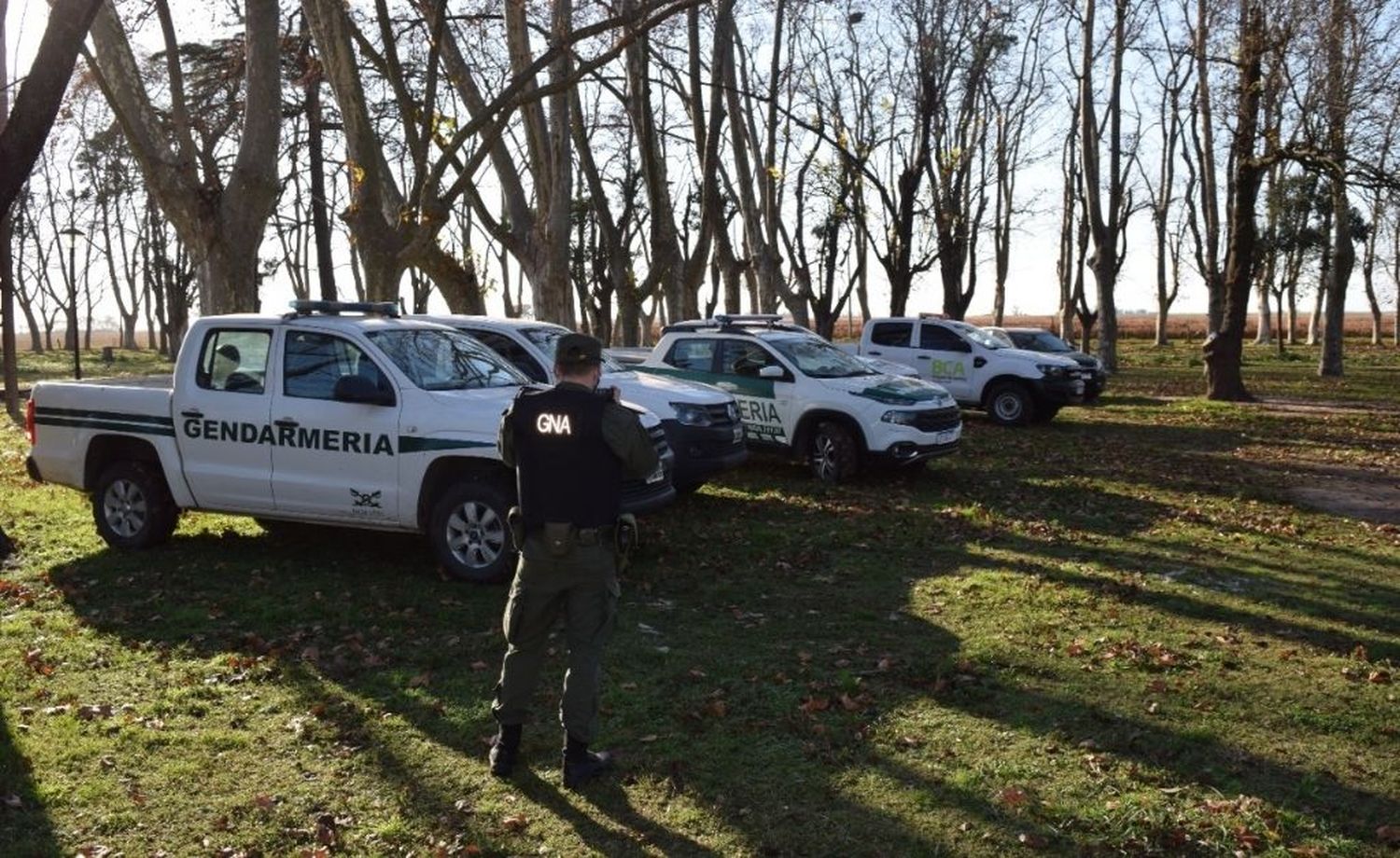 Rescatan un tigre de bengala y una leona en una localidad santafesina