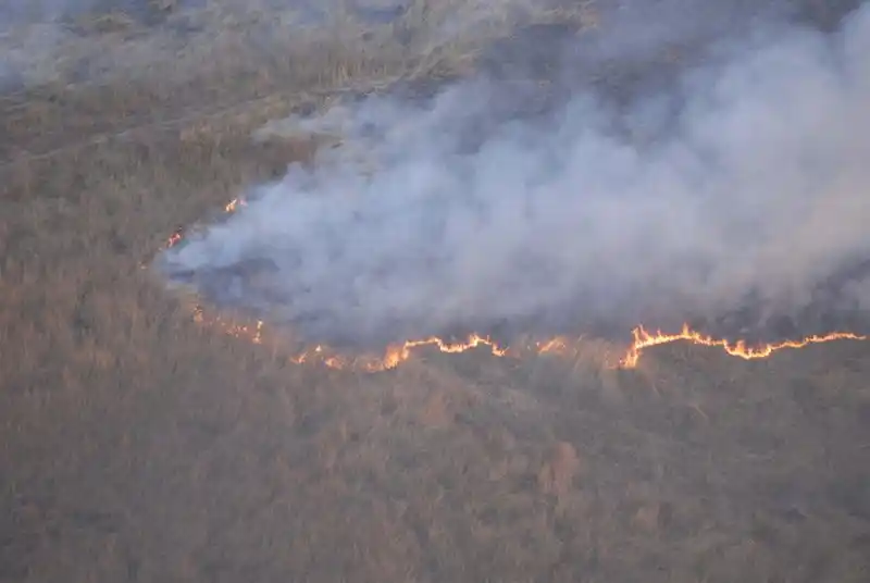 Lo acusan de prender fuego en un campo