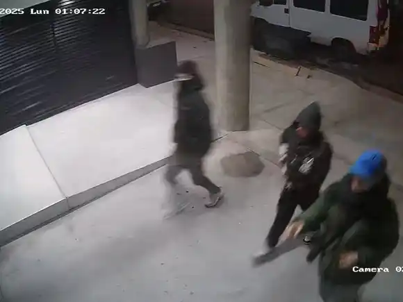 Detienen a un menor de 15 años, integrante de una banda de “rompe-portones”