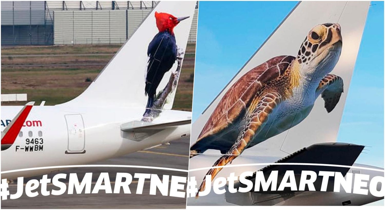 JetSMART arrancó el 2020 con dos nuevos A320neo
