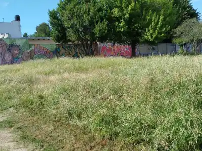 El reclamo vecinal es por el estado en que se encuentra el predio donde el Municipio tenía previsto trasladar el Punto Limpio Centro.