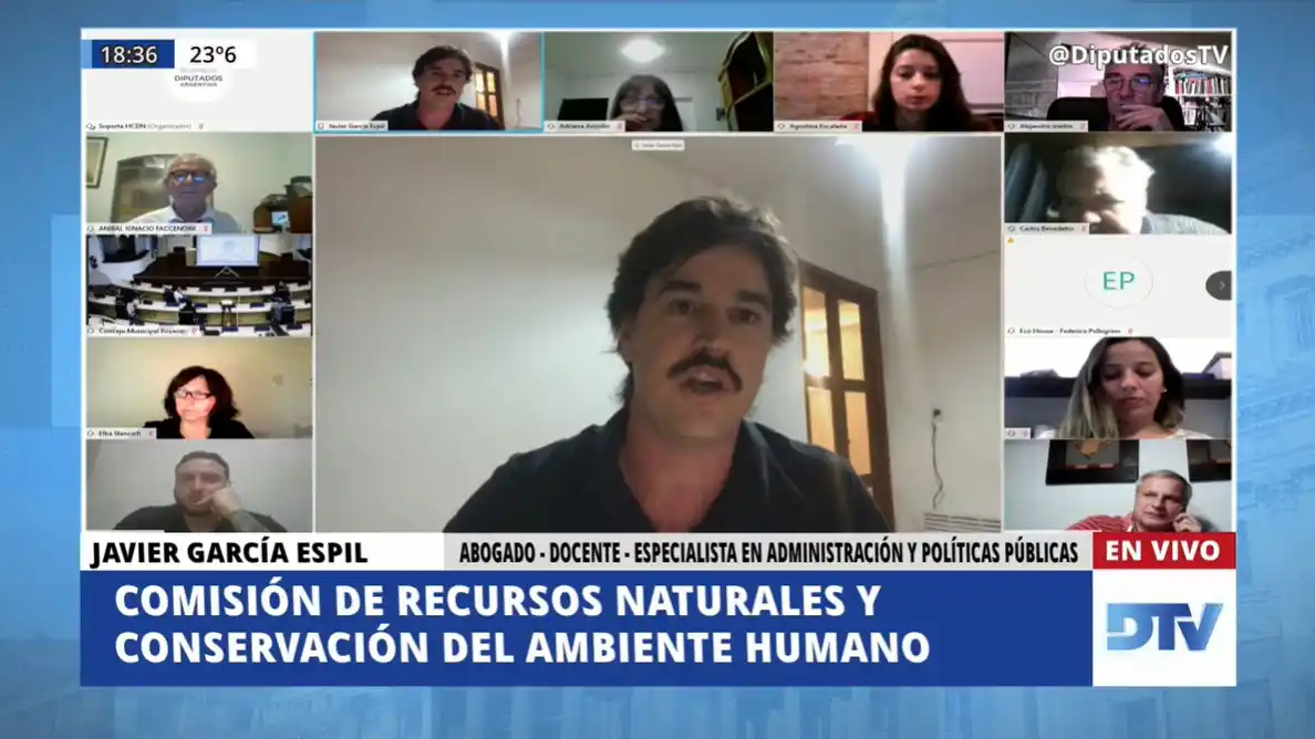 Seguilo en vivo: Diputados trabaja en una ley nacional de humedales