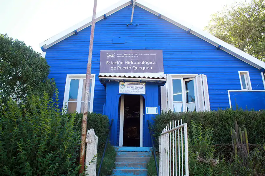 Los 88 años de un sueño