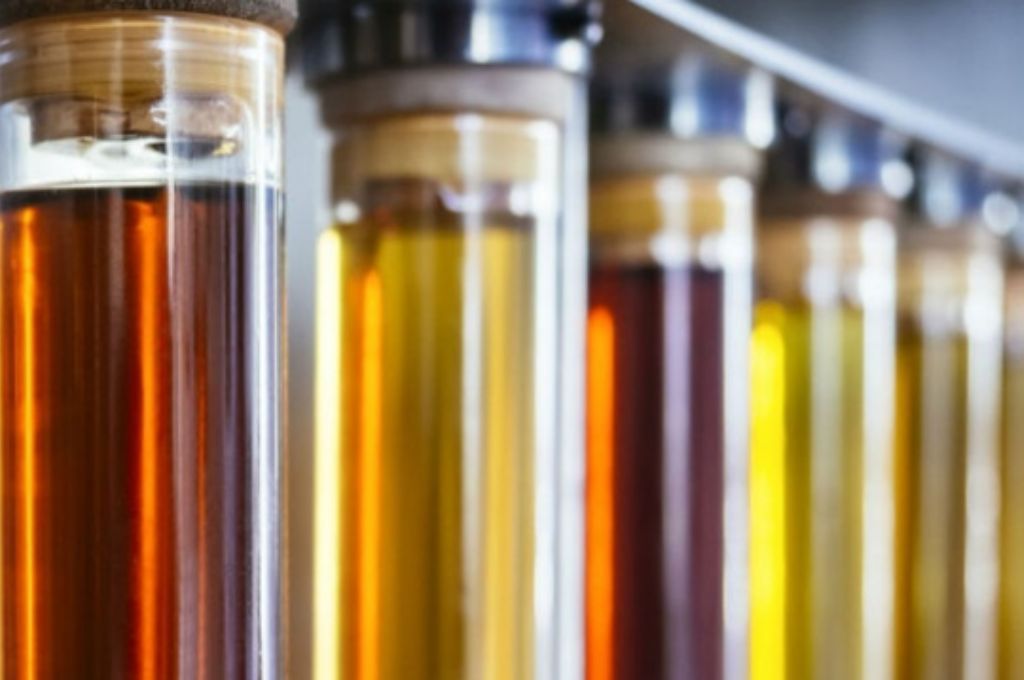 Prorrogaron la vigencia del corte de biodiesel del 12,5%