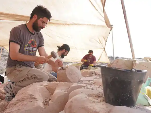 Paleontólogos del Conicet transmitirán en vivo la búsqueda de fósiles de dinosaurios: cuándo es y dónde verlo