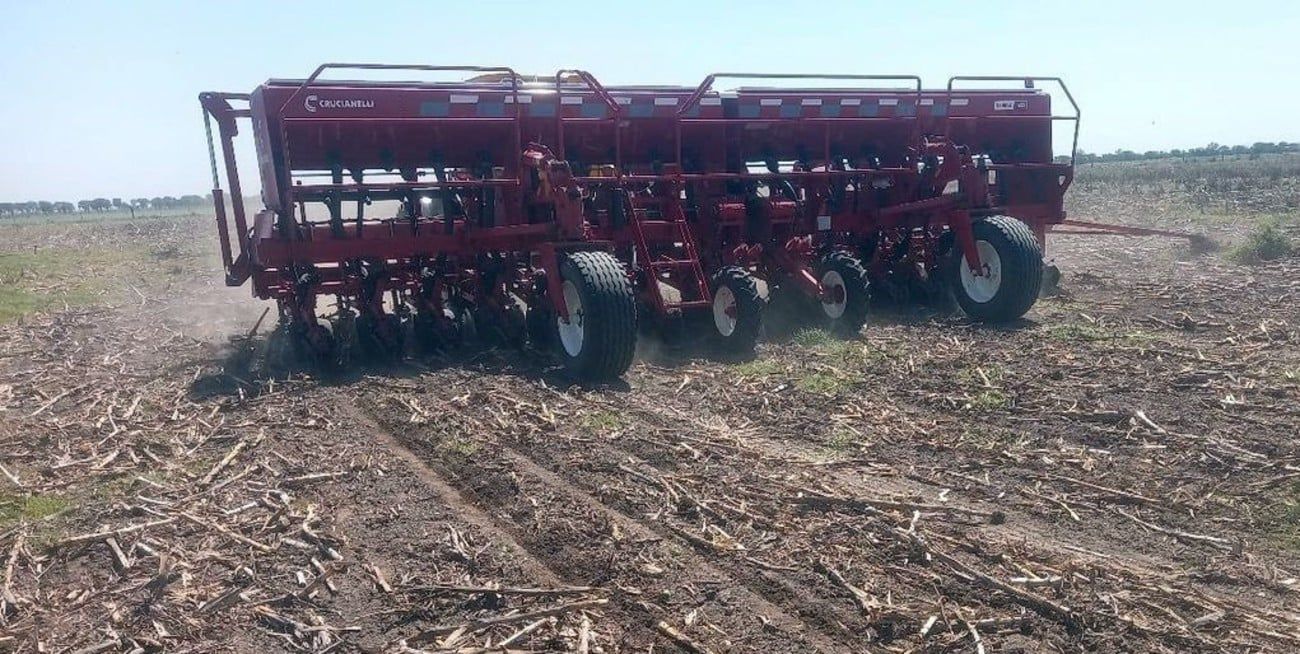 La siembra de maíz tardío se frenó por completo ante la ausencia de lluvias.