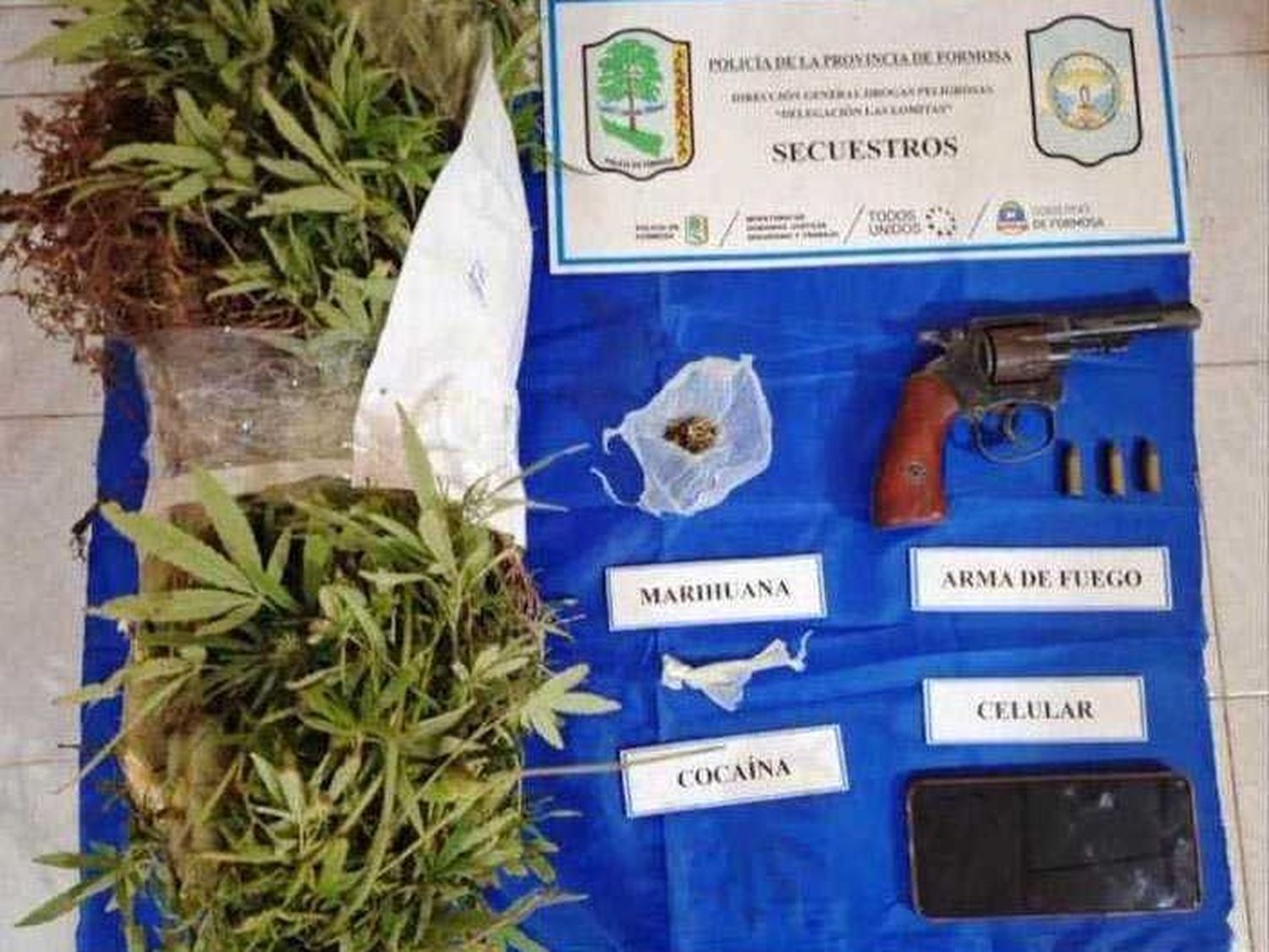 Anularon un centro de comercialización
de drogas y cultivo ilegal de marihuana