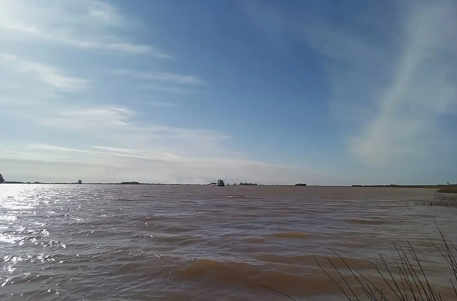 Incendios en islas: trabajan frente a Baradero, donde aumentó la superficie afectada