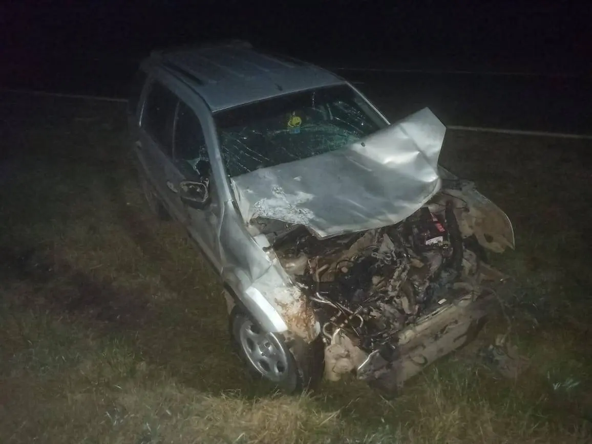 Ganado suelto provocó un accidente en la autovía