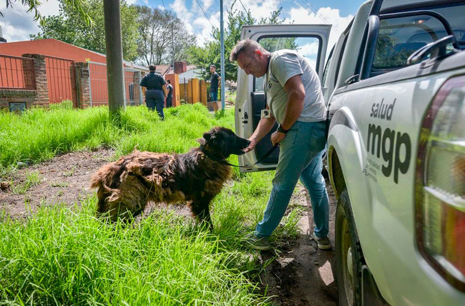 Rescataron a un animal víctima de maltrato y abandono