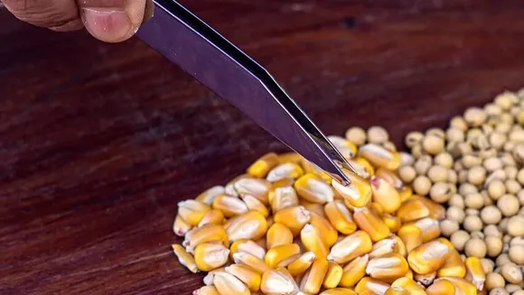 Comienza un nuevo curso de Perito Clasificador de granos