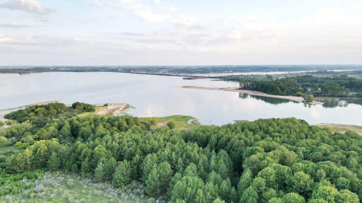 Codesal aclaró que no tiene injerencia en el predio donde se denunció un desmonte