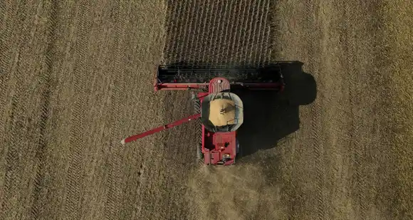 La soja de primera sorprende en plena cosecha con un rinde promedio de 41 qq/ha