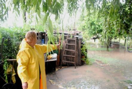 Evacuados, caídas de árboles y zonas inundadas en Tandil