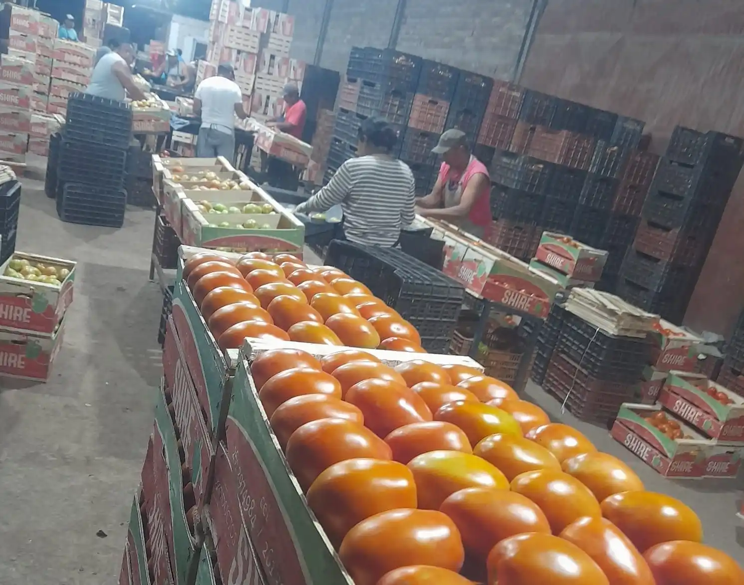 En febrero el consumidor pagó 3,1 veces más de lo que cobró el productor