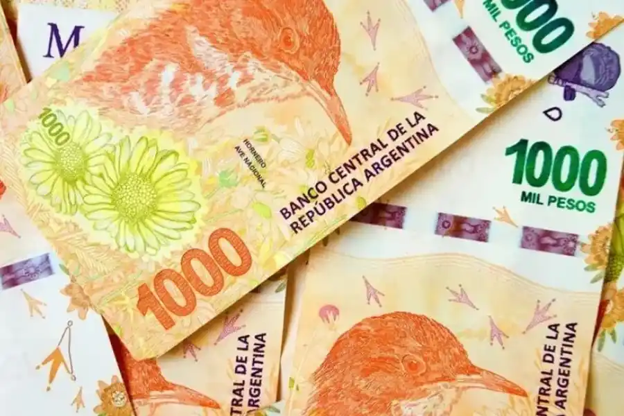 Los salarios se desplomaron un 18% en los primeros 50 días de Gobierno de Javier Milei