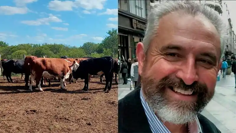 Un productor rural muere por el ataque de un toro
