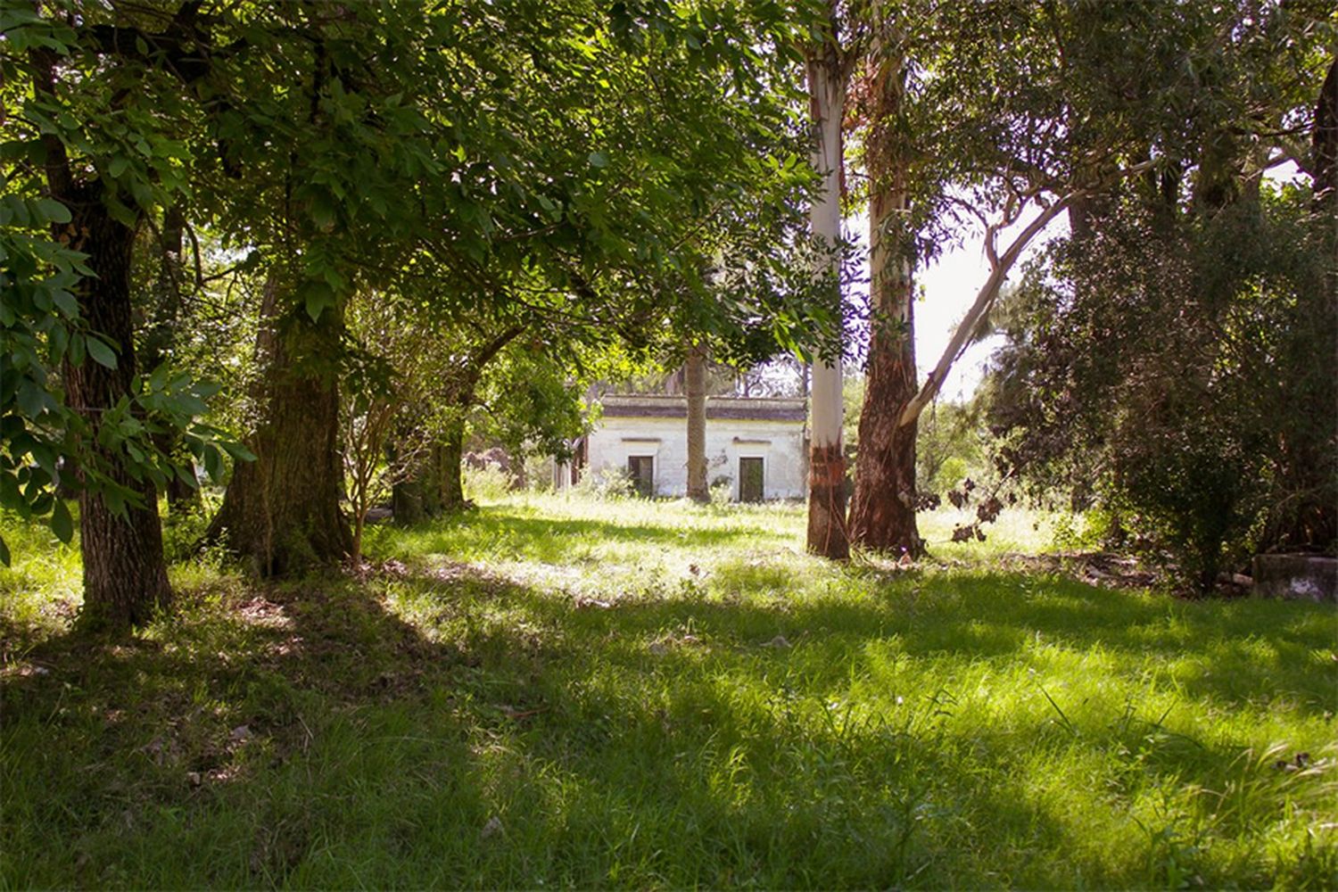 Invitan a conocer la Reserva Las Piedras