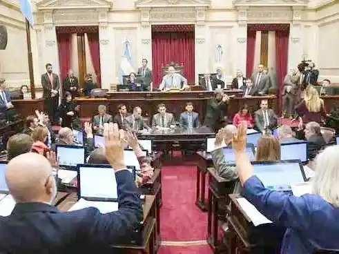 El Senado estira su parálisis entre el mundial
el feriado y la presión de los gobernadores