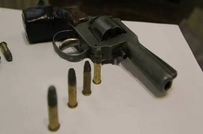 Incautaron siete armas de fuego en las últimas 24hs