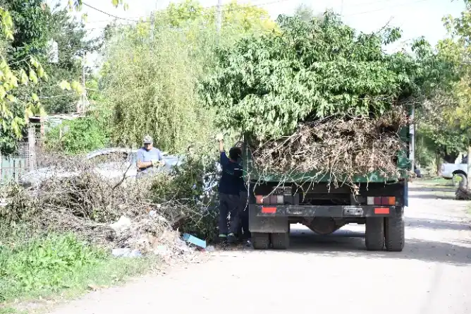 Limpieza y saneamiento: continúan los operativos en distintos barrios de Chascomús