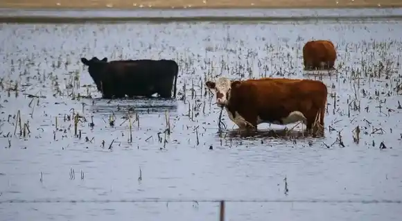 La Provincia declaró la emergencia agropecuaria en diez municipios